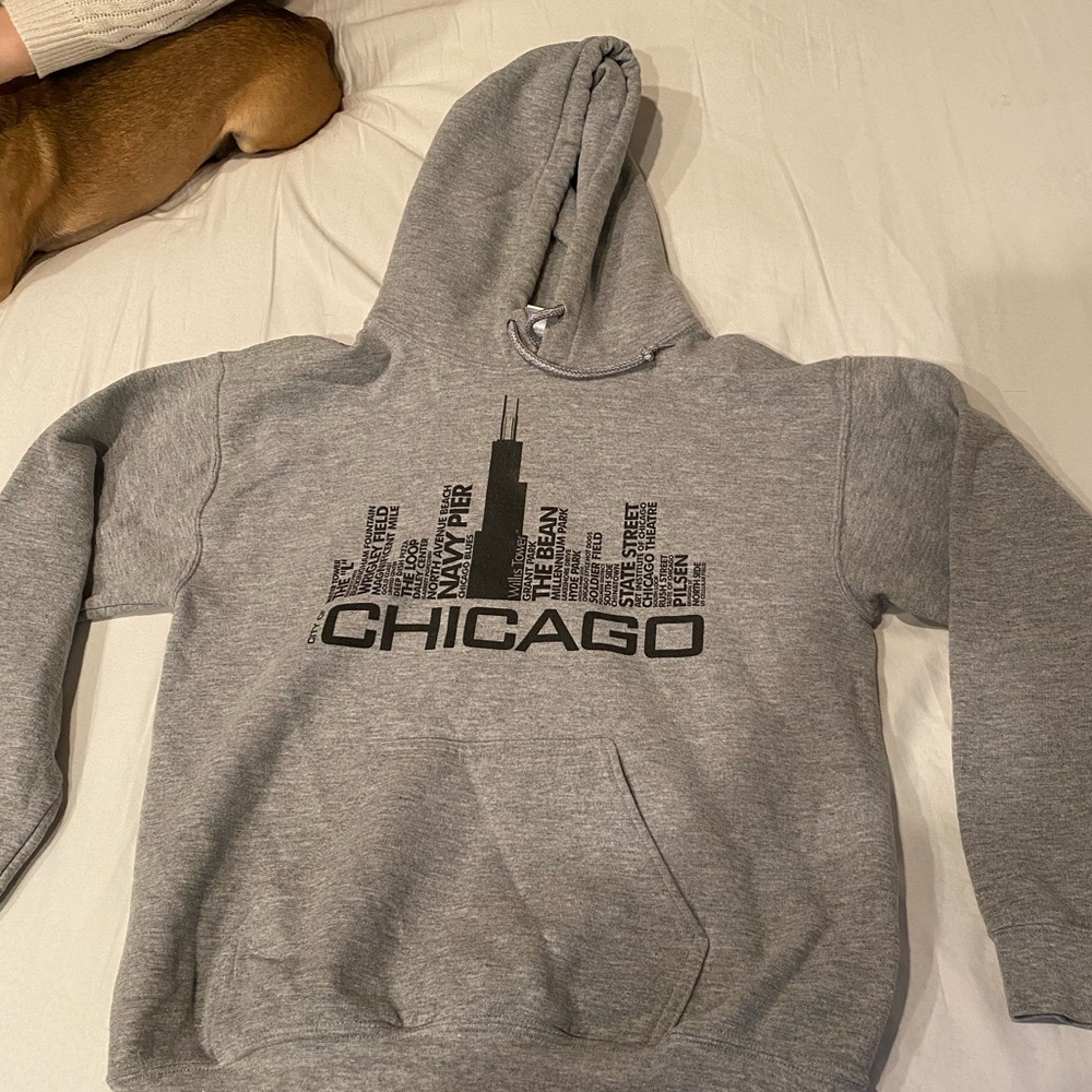 Chicago skyline souvenir hoodie